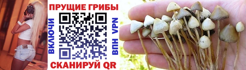 Галлюциногенные грибы GOLDEN TEACHER  Инсар 